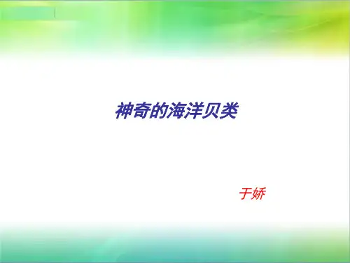 神奇的贝类