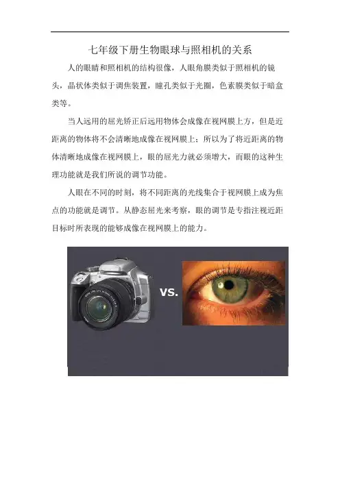 七年级下册生物眼球与照相机的关系