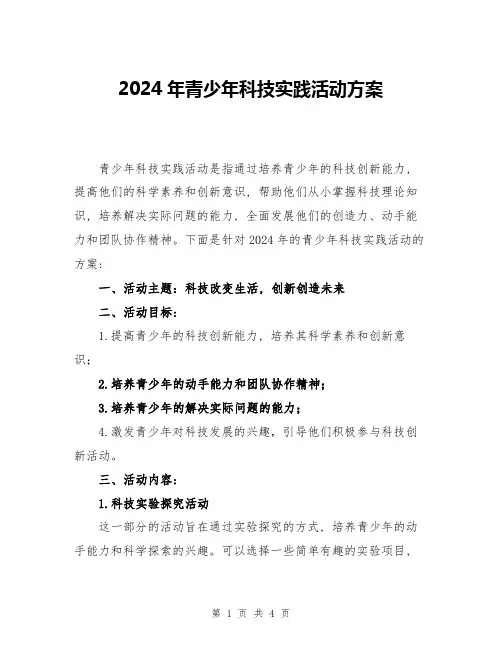 2024年青少年科技实践活动方案