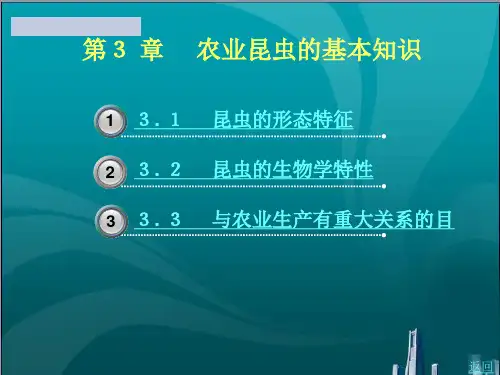 农业昆虫的基本知识