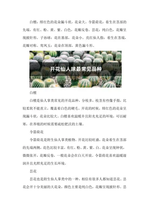 开花仙人球最常见品种
