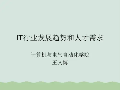 IT行业发展趋势和人才需求PPT(共45页)