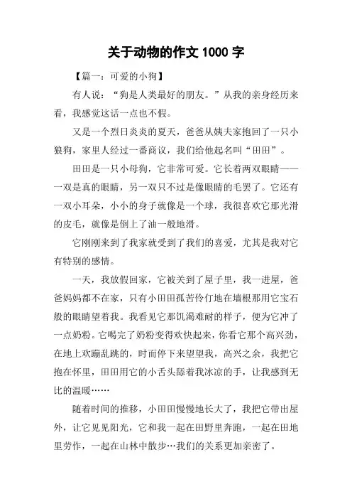 关于动物的作文1000字