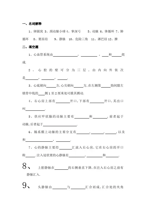 脉管系统练习题