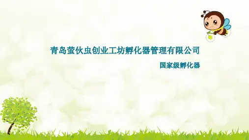 创业工坊孵化器PPT课件