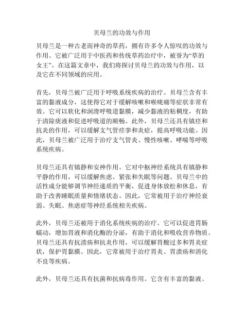 贝母兰的功效与作用