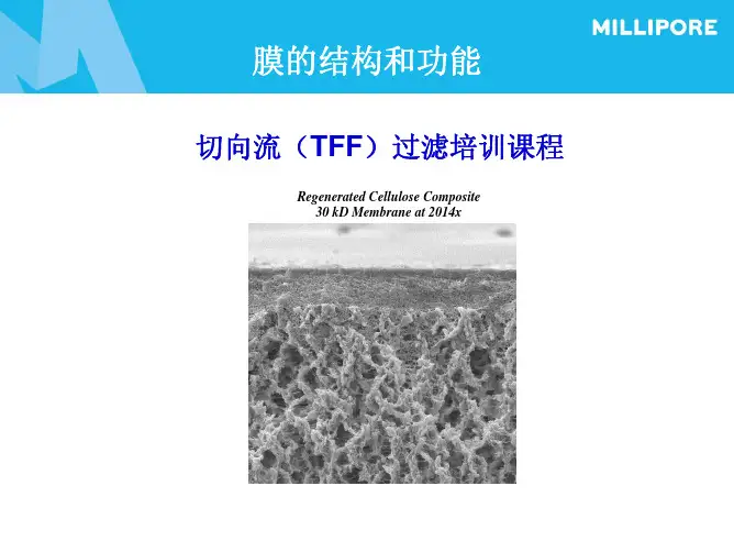 超滤膜的结构和功能(2)