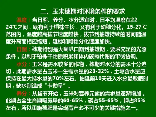 玉米穗期管理技术ppt课件