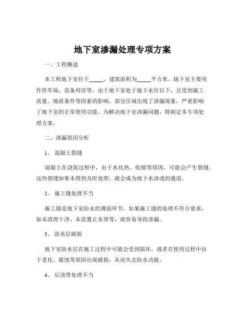 地下室渗漏处理专项方案