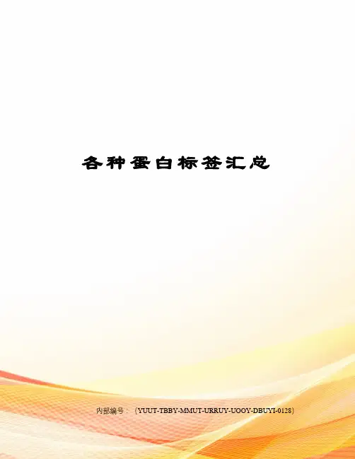 各种蛋白标签汇总修订稿
