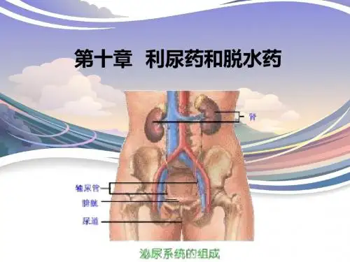 第十章  利尿药和脱水药
