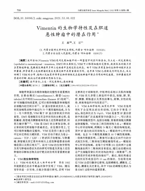 Vimentin的生物学特性及在胆道恶性肿瘤中的潜在作用