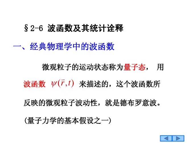 波函数及其统计诠释