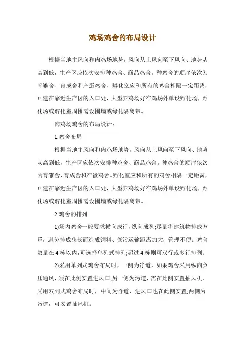 鸡场鸡舍的布局设计