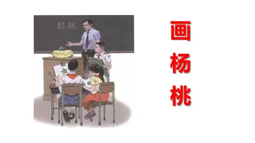 部编版语文二年级下册第13课《画杨桃》课件