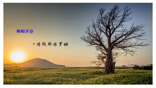 【公开课优质课件】《树和天空》(特朗斯特罗姆)统编版高中语文选择性必修中册