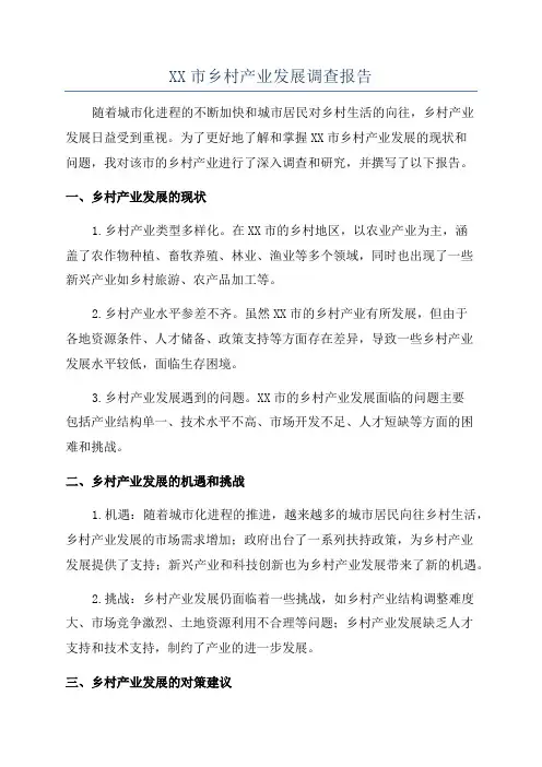 XX市乡村产业发展调查报告