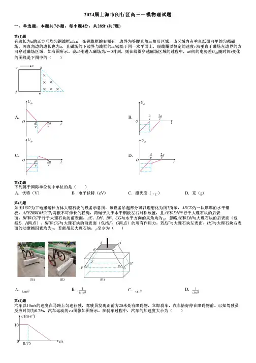 2024届上海市闵行区高三一模物理试题