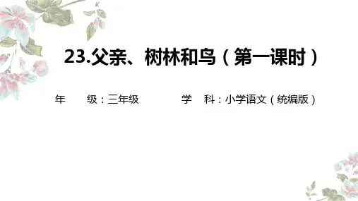 父亲、树林和鸟ppt课件