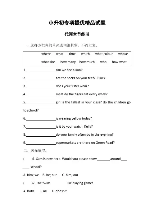 小升初英语专项-代词章节练习