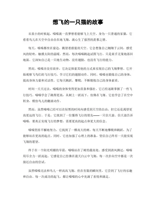 想飞的一只猫的故事