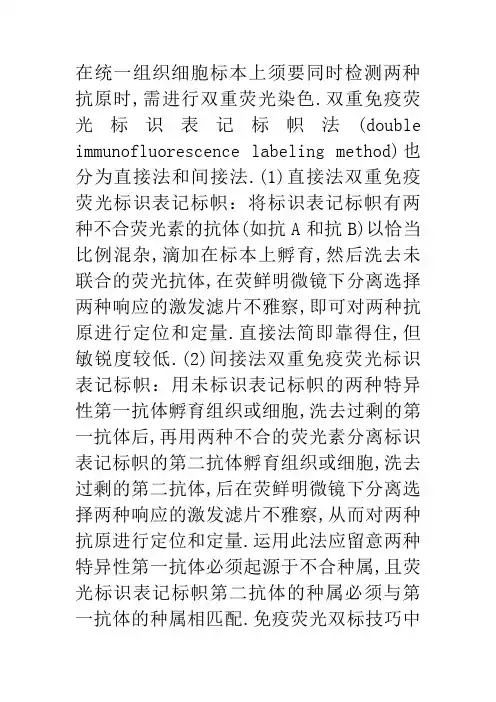 免疫荧光双标操作方法及注意事项
