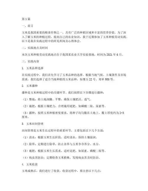 玉米种植劳动实践报告(2篇)