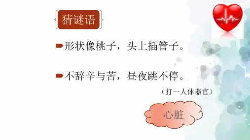 人教版-生物-七年级下册-人教版七下第四章第三节第一课时输送血液的泵——心脏