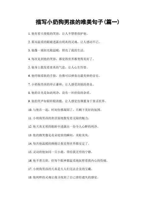 描写小奶狗男孩的唯美句子(精选合集2篇)