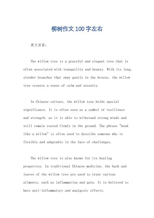 柳树作文100字左右