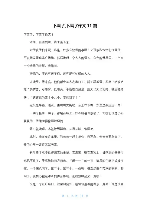 下雪了,下雪了作文11篇