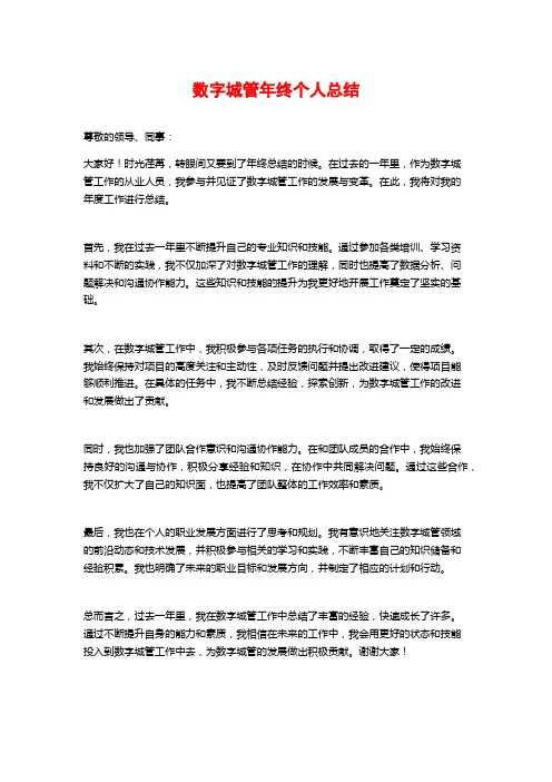 数字城管年终个人总结