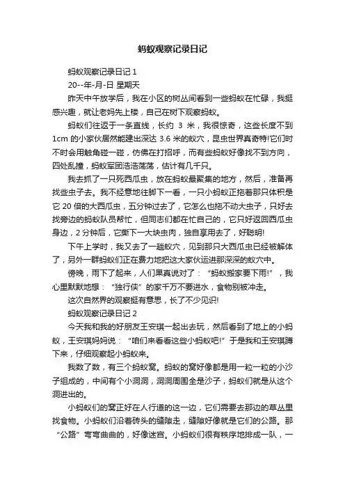 蚂蚁观察记录日记