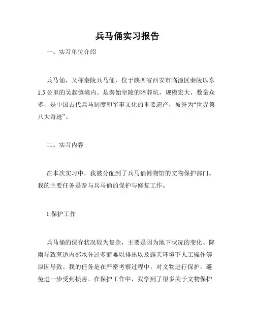 兵马俑实习报告