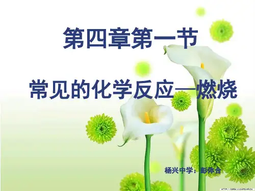 常见的化学反应—燃烧