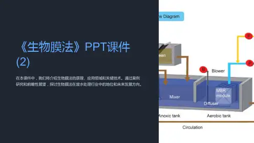 《生物膜法》课件 (2)