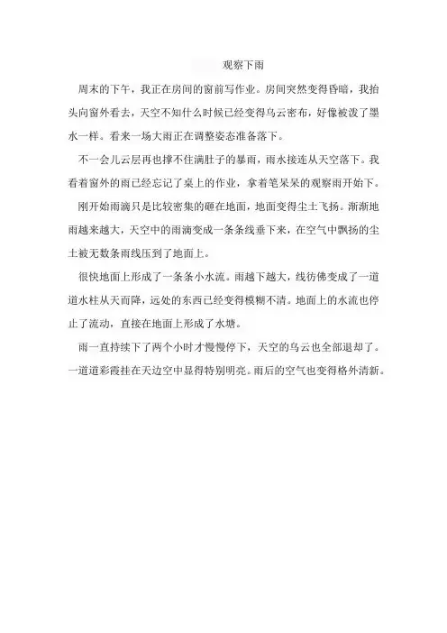 四年级观察下雨的作文300字