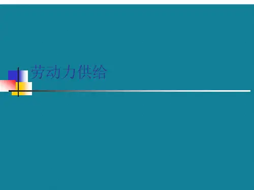 优选劳动力供给.