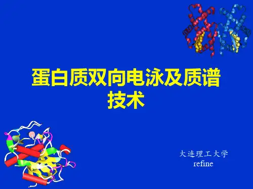 蛋白质双向电泳及质谱技术