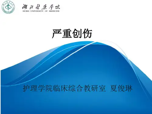第九章 严重创伤