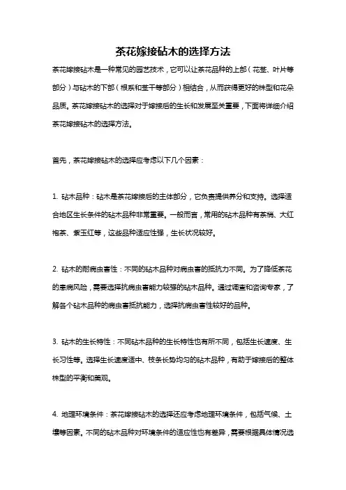 茶花嫁接砧木的选择方法