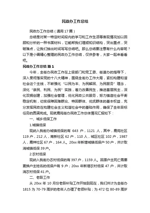 民政办工作总结（通用17篇）