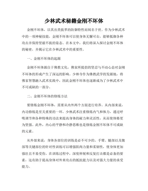 少林武术秘籍金刚不坏体