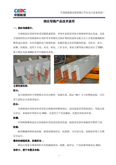 (完整版)浇注母线产品技术说明
