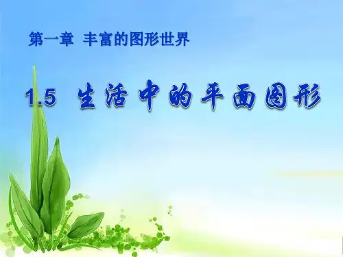 《生活中的平面图形》丰富的图形世界PPT课件(1)