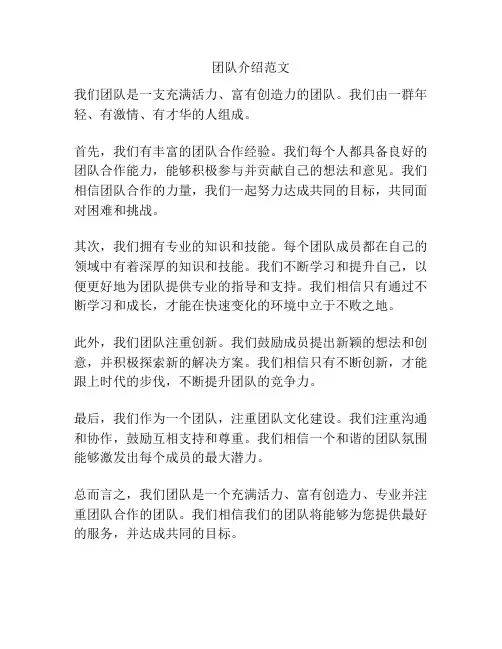 团队介绍范文