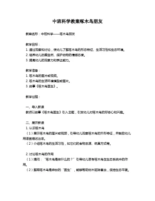 中班科学教案啄木鸟朋友