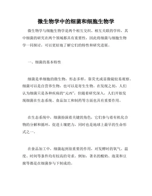 微生物学中的细菌和细胞生物学