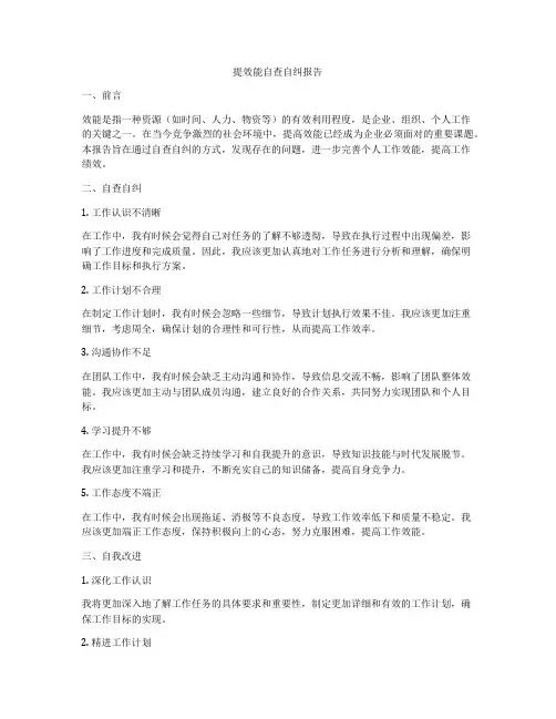 提效能自查自纠报告