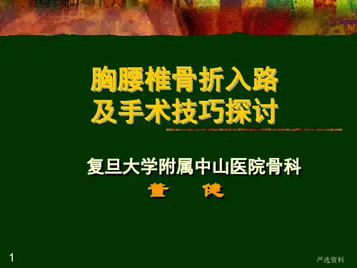 胸腰椎脊柱骨折手术入路及技巧(医疗课件)